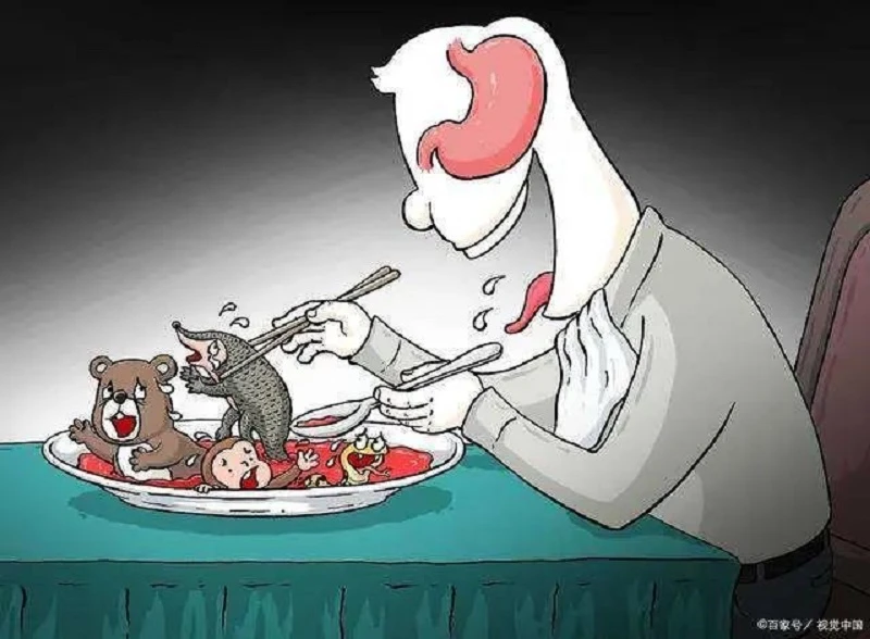 1586931612515020742.jpg 5.jpg