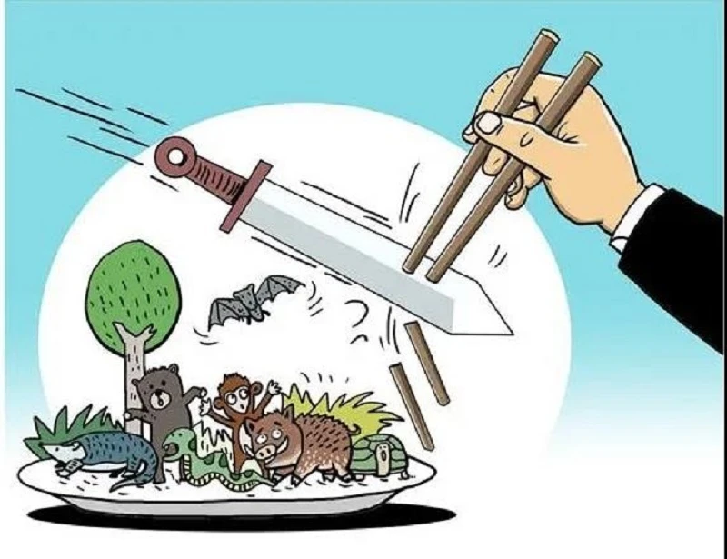 1586931660260016077.jpg 9.jpg