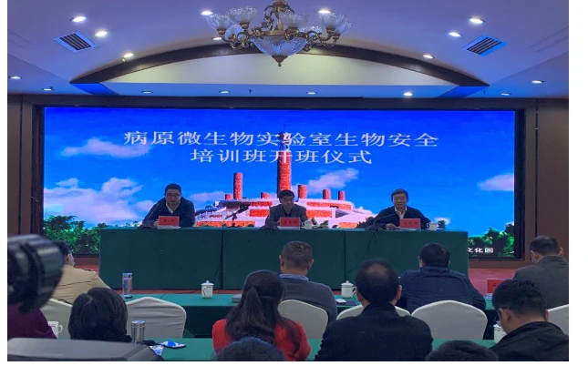 1604976231758039377.png image.png