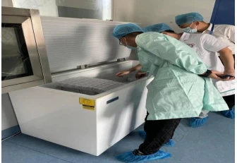 1665133995318093544.png b4.png